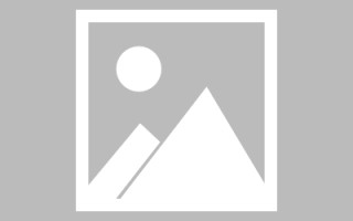 鹿邑山东网络网站搭建特点（山东网站建设app）